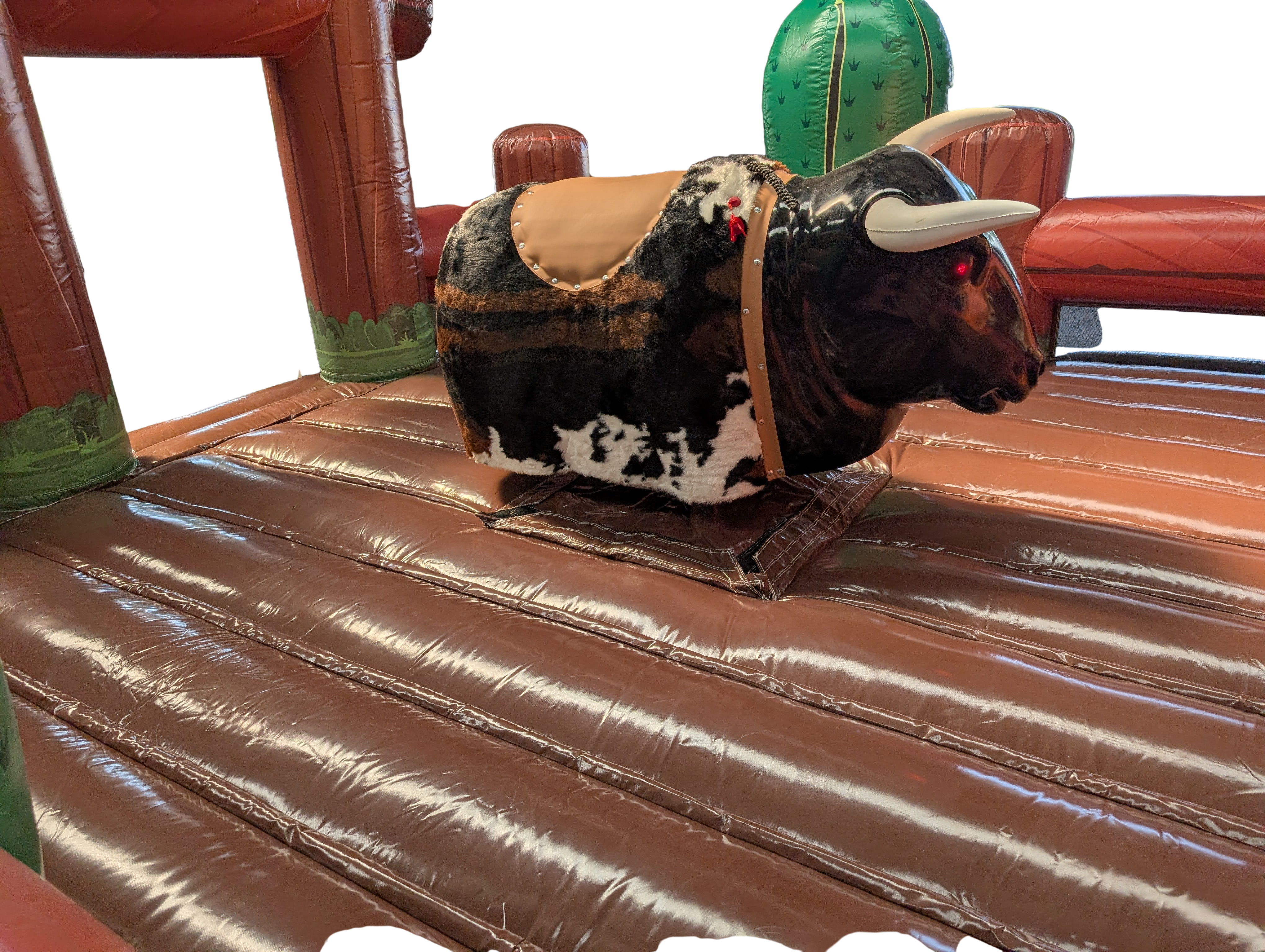 Rodeo-Bulle  - Optik 1